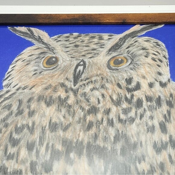 Handmade Framed Pencil Art Horned Owl Colored  Drawing 9x11 inch One of a Kind - Picture 1 of 12